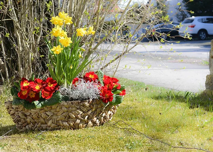 Eichinger Готель 3*